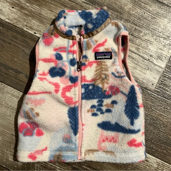 Patagonia Other - Patagonia Synchilla Vest